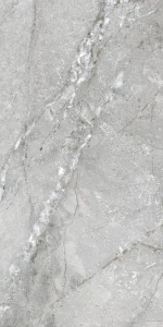 Gresie porțelanată interior/ exterior Oro, 60 x 120 cm, gri deschis, mat