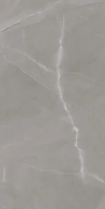 Gresie porțelanată interior/ exterior Armani Asiago, 60 x 120 cm, gri, lucios - imagine 2